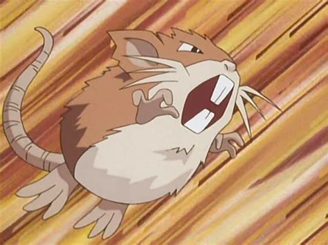 raticate weakness.